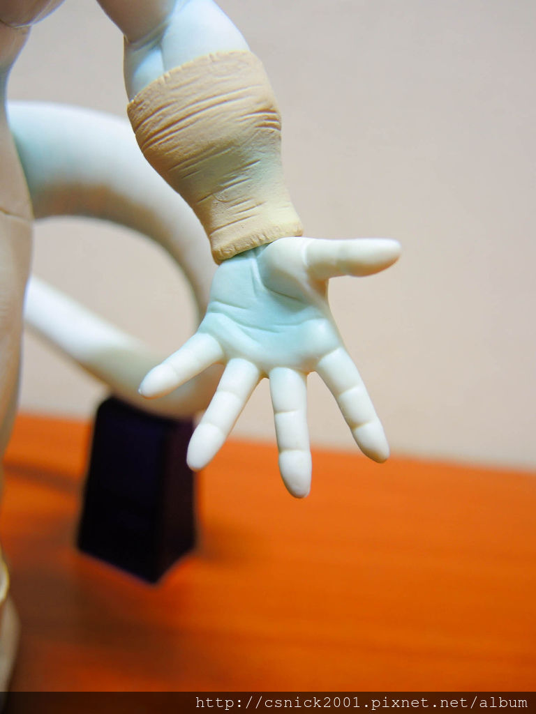 DSCN5317_調整大小.jpg DSCN5317_調整大小.jpg