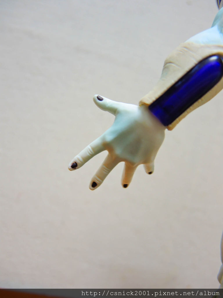 DSCN5318_調整大小.jpg DSCN5318_調整大小.jpg