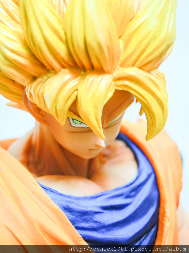 DSCN6595_調整大小.jpg DSCN6595_調整大小.jpg