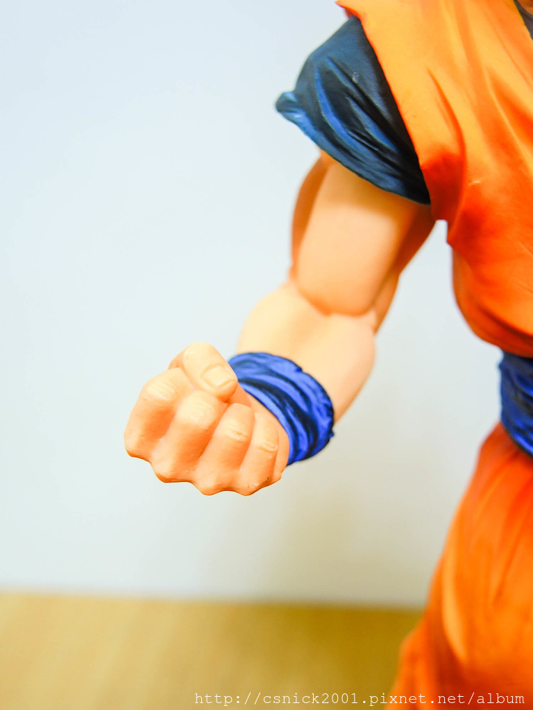 DSCN6637_調整大小.jpg DSCN6637_調整大小.jpg