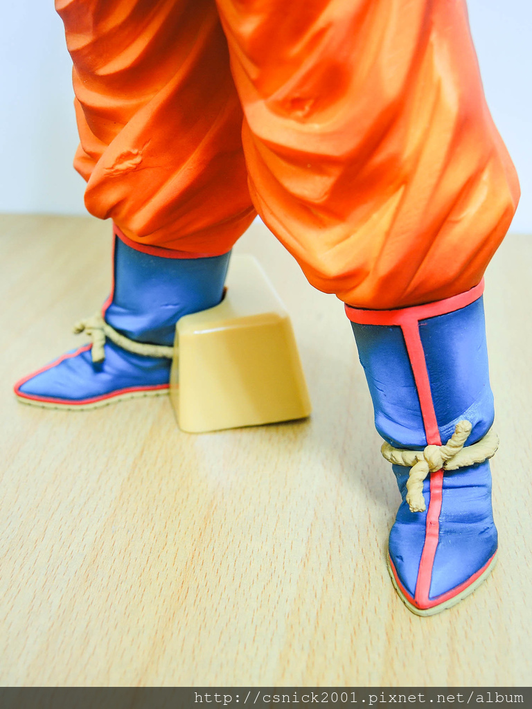 DSCN6663_調整大小.jpg DSCN6663_調整大小.jpg