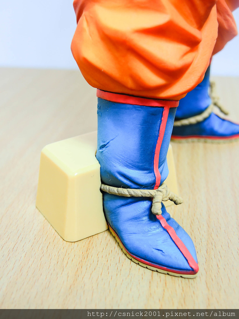 DSCN6667_調整大小.jpg DSCN6667_調整大小.jpg