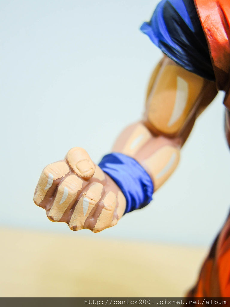 DSCN0111_調整大小.jpg DSCN0111_調整大小.jpg