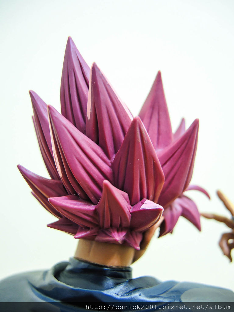 DSCN0422_調整大小.jpg DSCN0422_調整大小.jpg