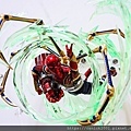 DSCN4516.jpg