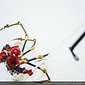 DSCN5531.jpg