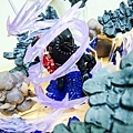 DSCN5667.jpg