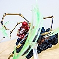 DSCN5671.jpg