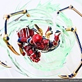 DSCN5676.jpg