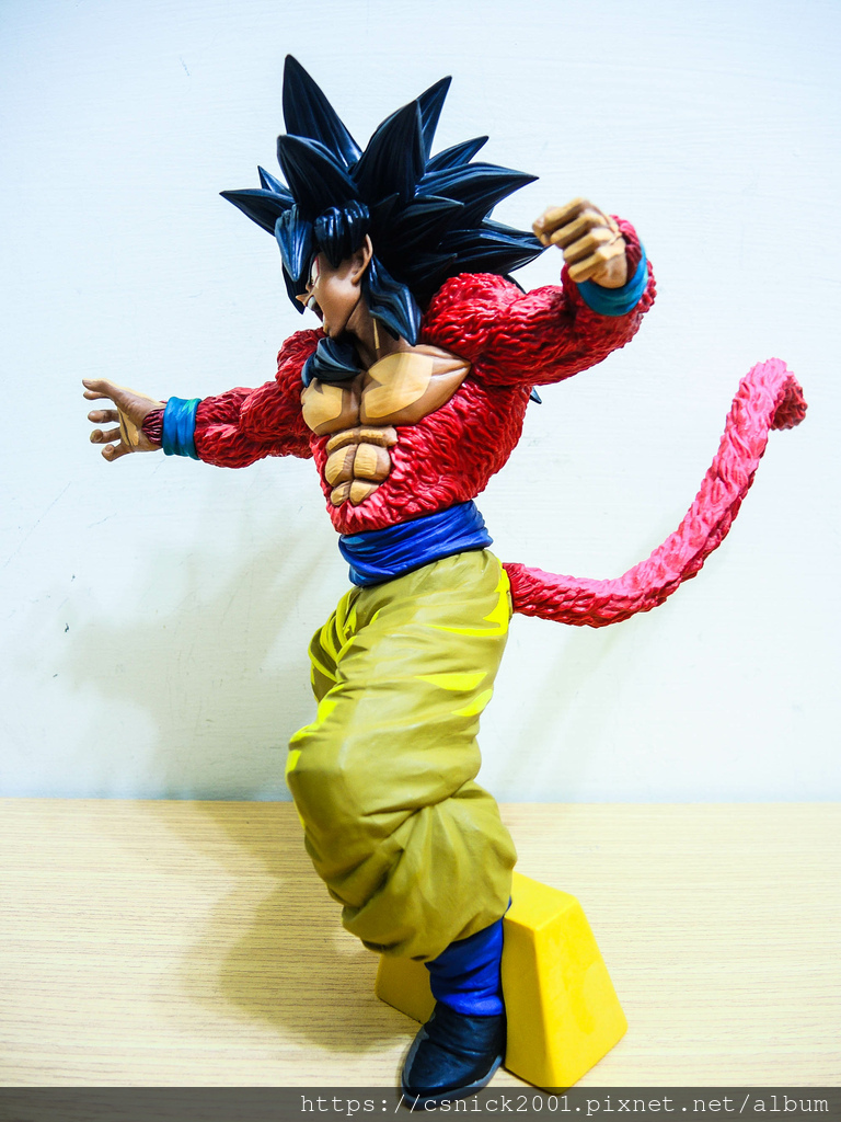 DSCN7908.jpg DSCN7908.jpg