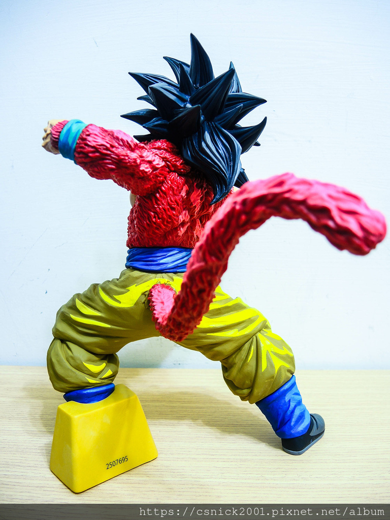 DSCN7914.jpg DSCN7914.jpg