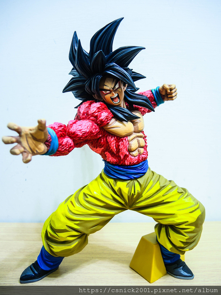 DSCN7899.jpg DSCN7899.jpg