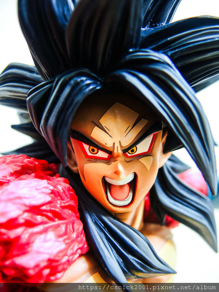 DSCN7929.jpg DSCN7929.jpg