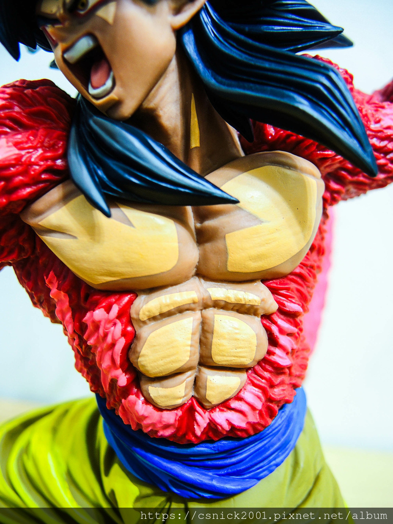 DSCN7966.jpg DSCN7966.jpg