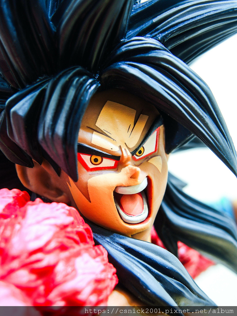 DSCN7936.jpg DSCN7936.jpg