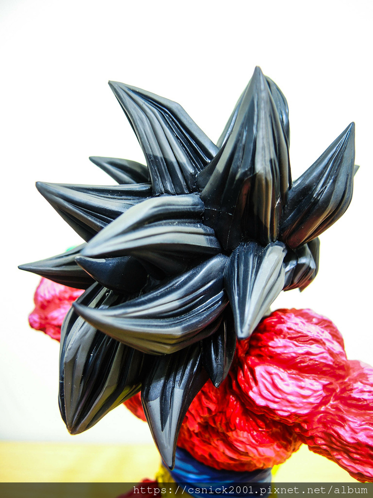 DSCN7963.jpg DSCN7963.jpg