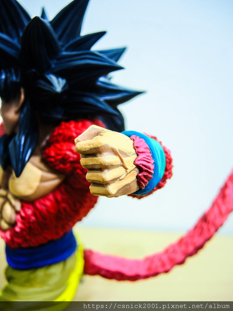 DSCN7972.jpg DSCN7972.jpg