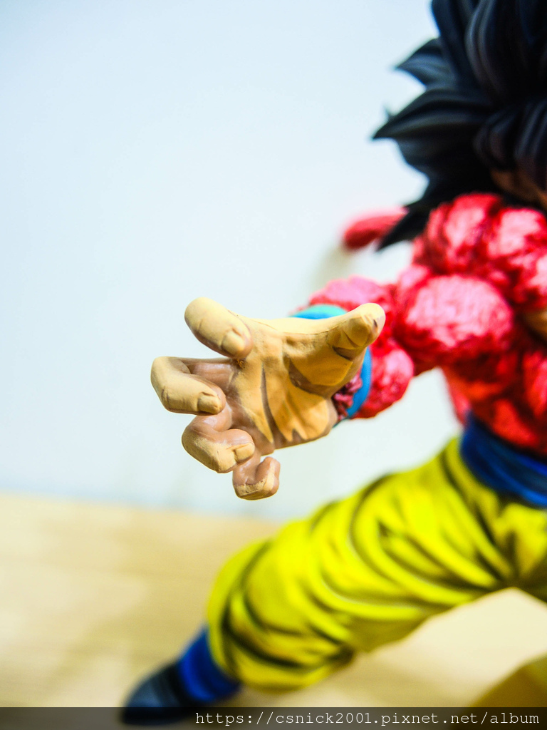 DSCN7973.jpg DSCN7973.jpg