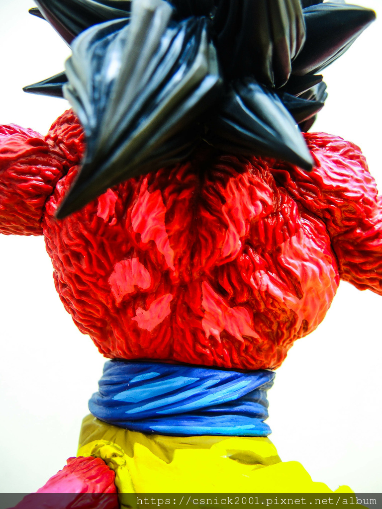 DSCN7979.jpg DSCN7979.jpg