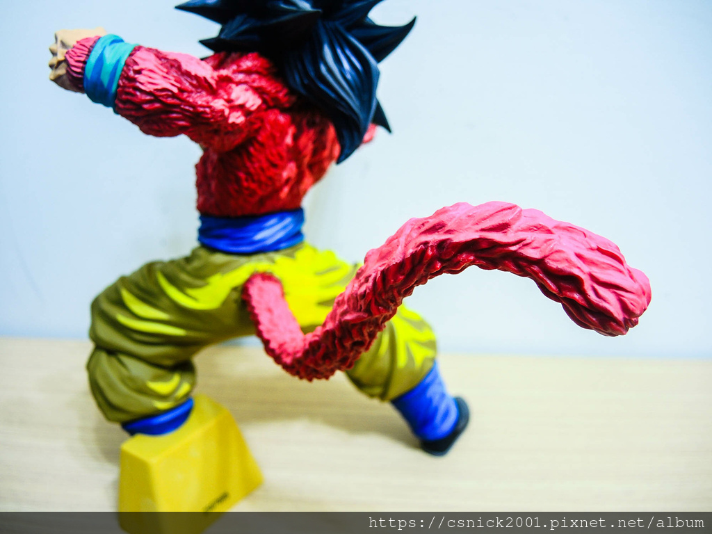 DSCN7984.jpg DSCN7984.jpg