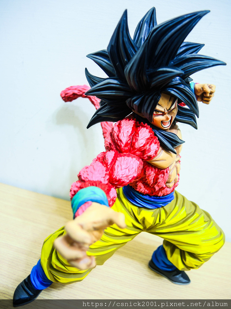 DSCN8017.jpg DSCN8017.jpg