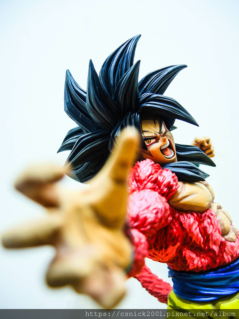 DSCN8000.jpg DSCN8000.jpg