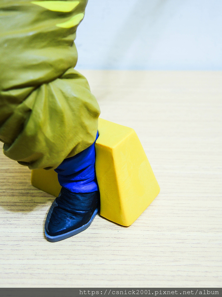 DSCN7991.jpg DSCN7991.jpg