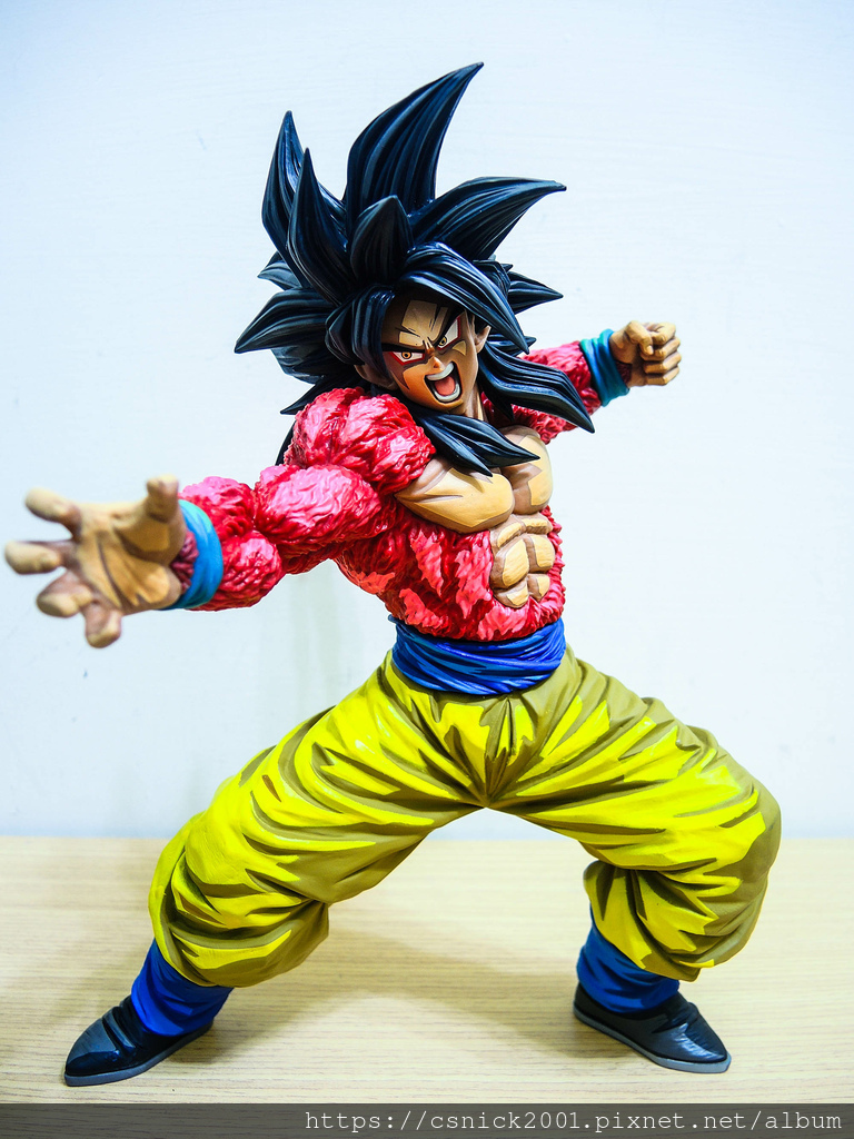 DSCN7994.jpg DSCN7994.jpg