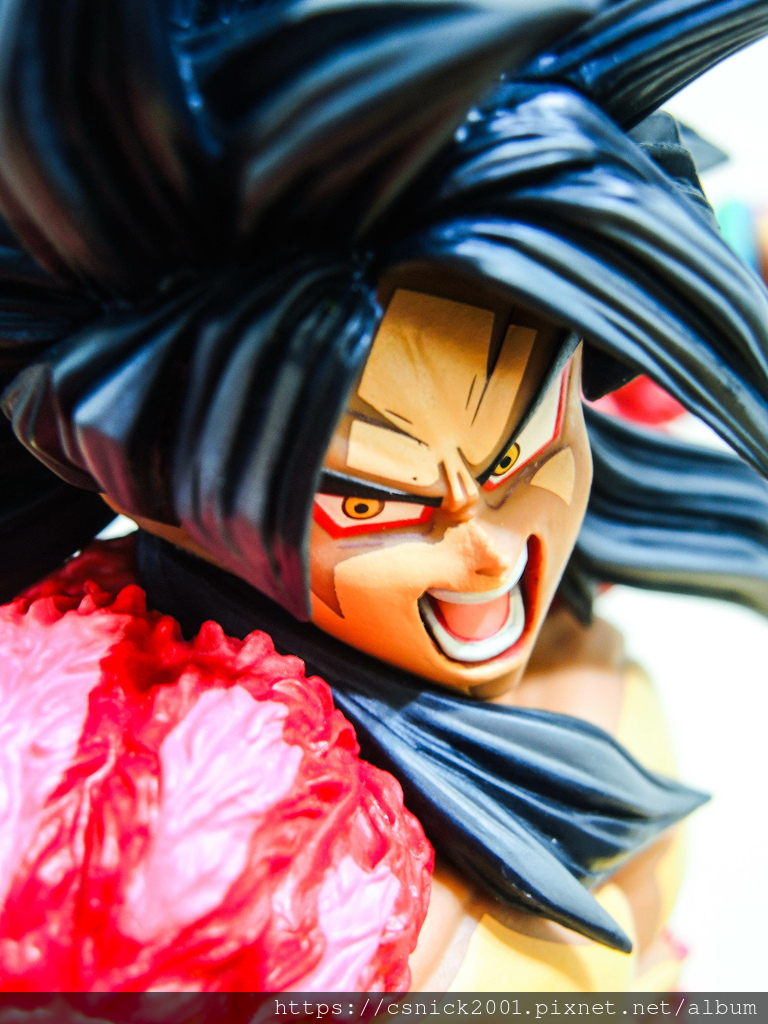 DSCN8100.jpg DSCN8100.jpg