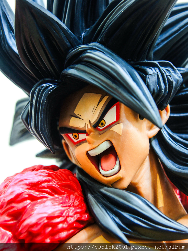 DSCN8101.jpg DSCN8101.jpg