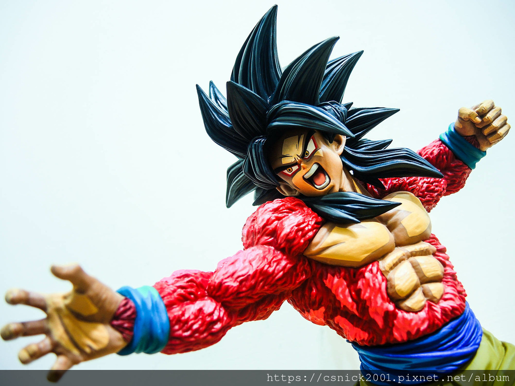 DSCN8103.jpg DSCN8103.jpg