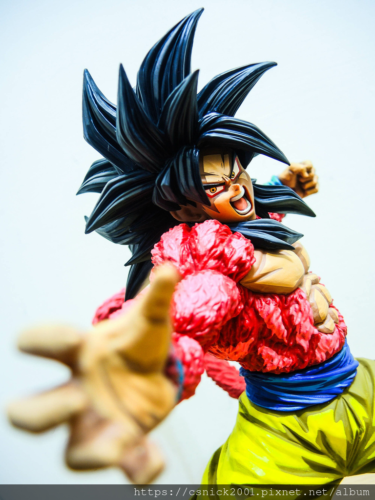 DSCN8102.jpg DSCN8102.jpg