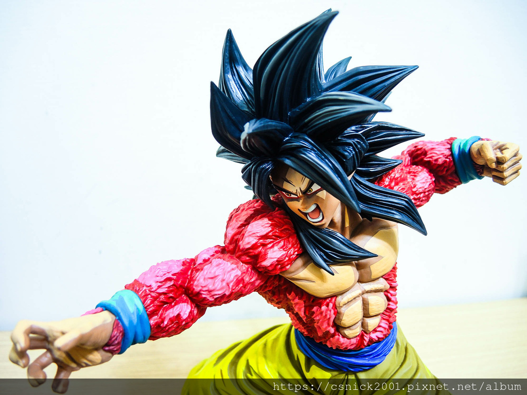 DSCN8104.jpg DSCN8104.jpg