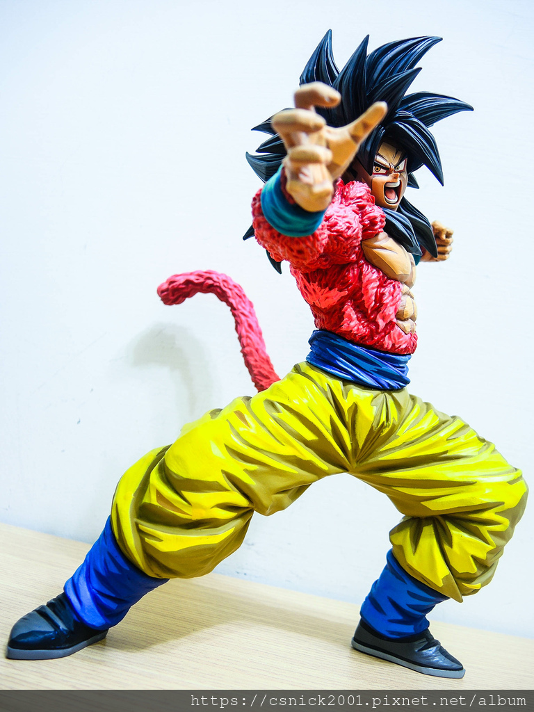 DSCN8105.jpg DSCN8105.jpg