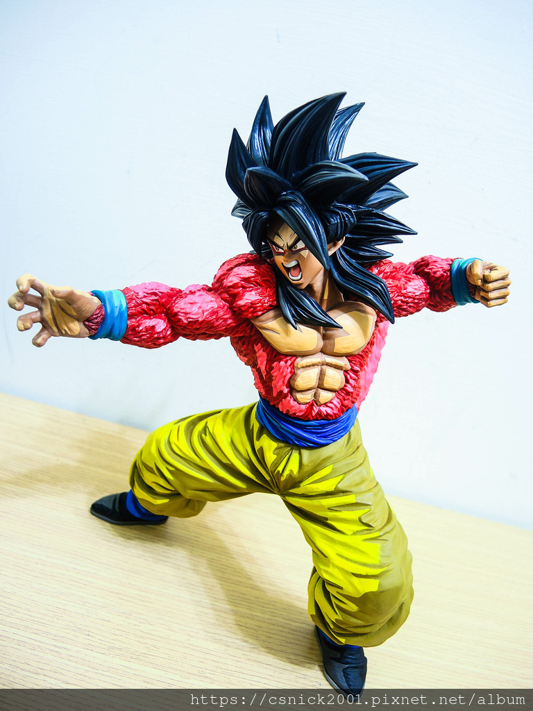 DSCN8106.jpg DSCN8106.jpg