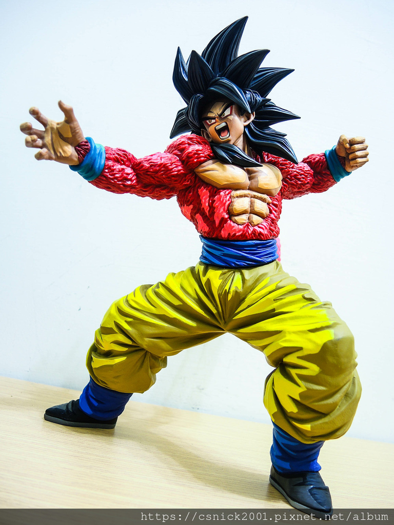 DSCN8107.jpg DSCN8107.jpg