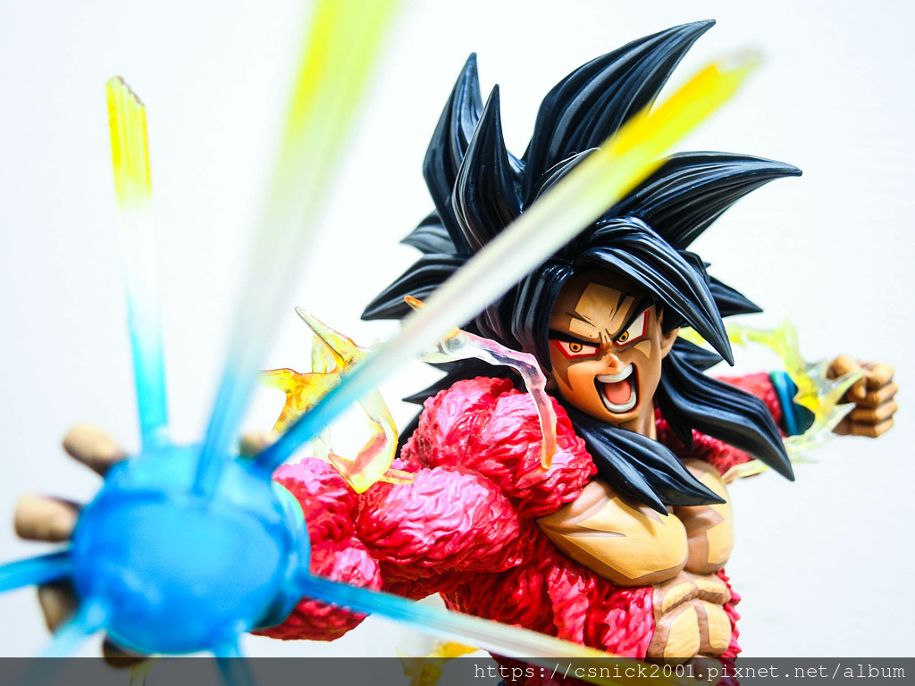 DSCN8110.jpg DSCN8110.jpg