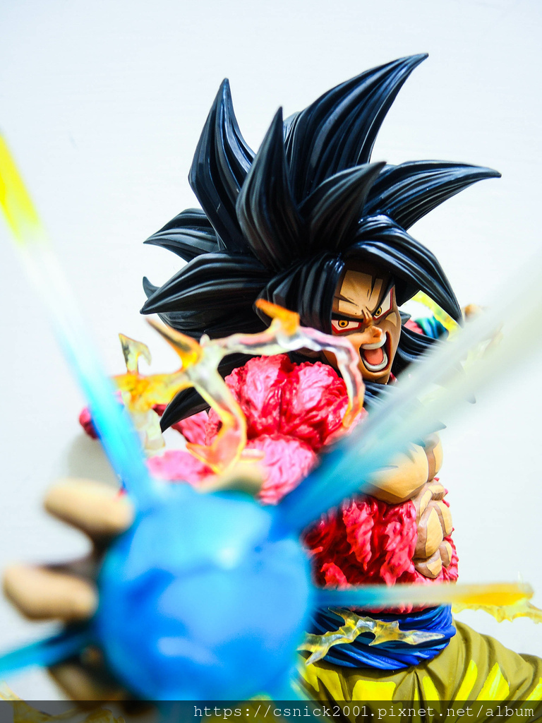 DSCN8113.jpg DSCN8113.jpg