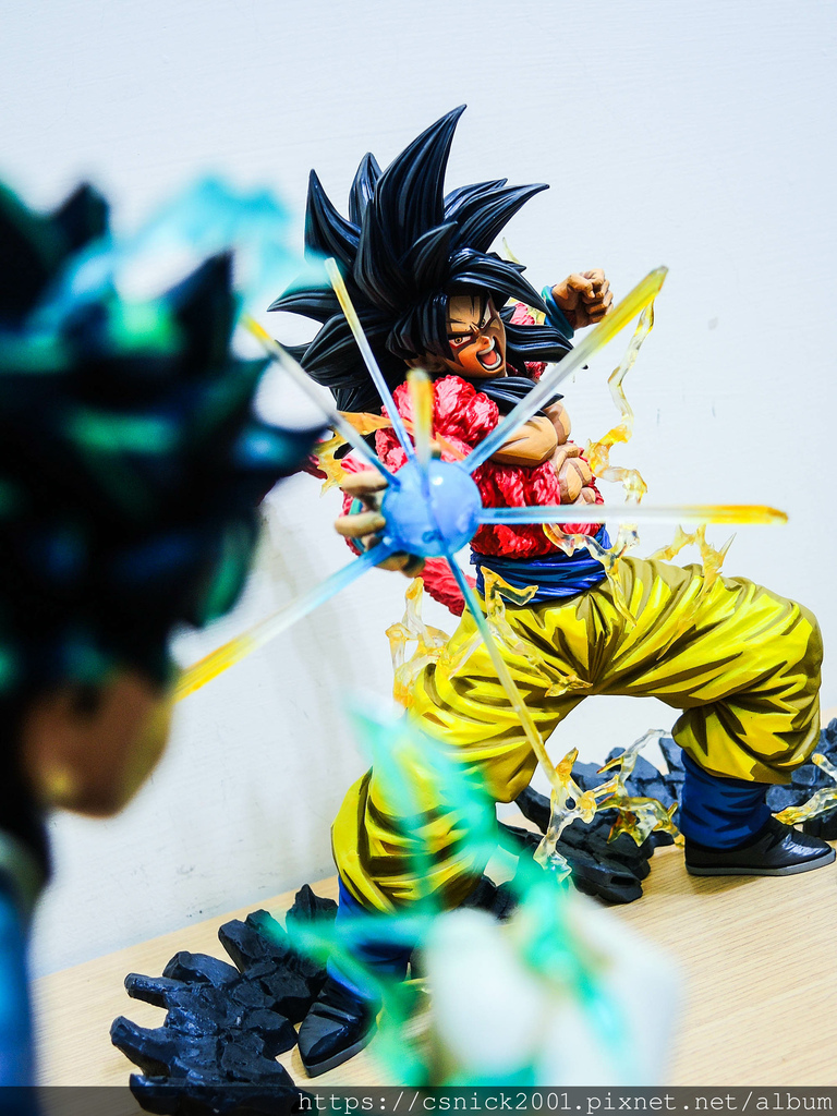 DSCN8115.jpg DSCN8115.jpg