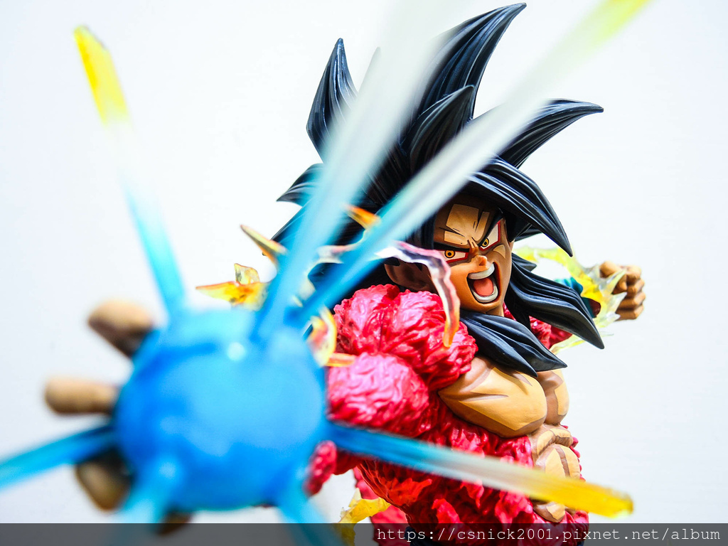 DSCN8114.jpg DSCN8114.jpg