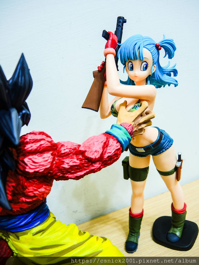 DSCN8116.jpg DSCN8116.jpg