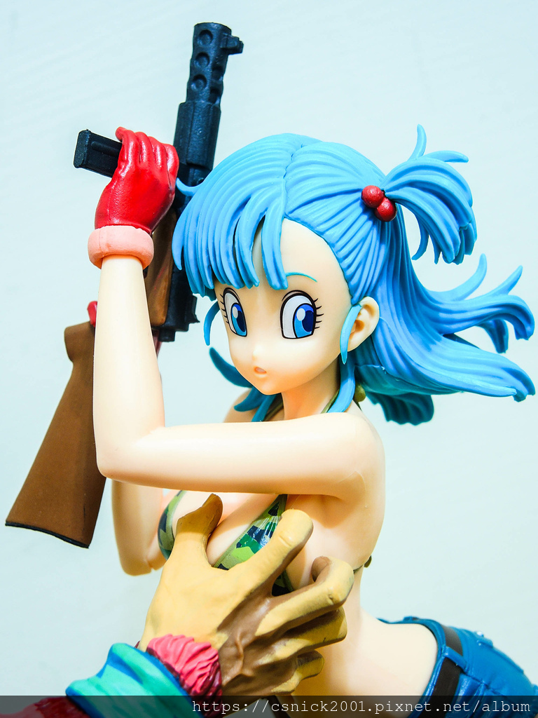 DSCN8117.jpg DSCN8117.jpg