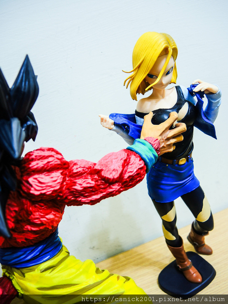 DSCN8118.jpg DSCN8118.jpg