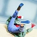 DSCN8314.jpg