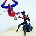 DSCN8423.jpg