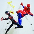 DSCN8476.jpg