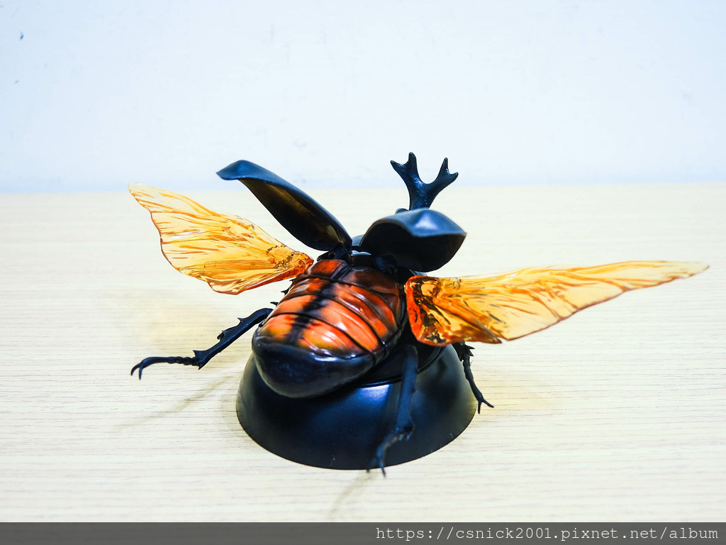 DSCN8008.jpg DSCN8008.jpg