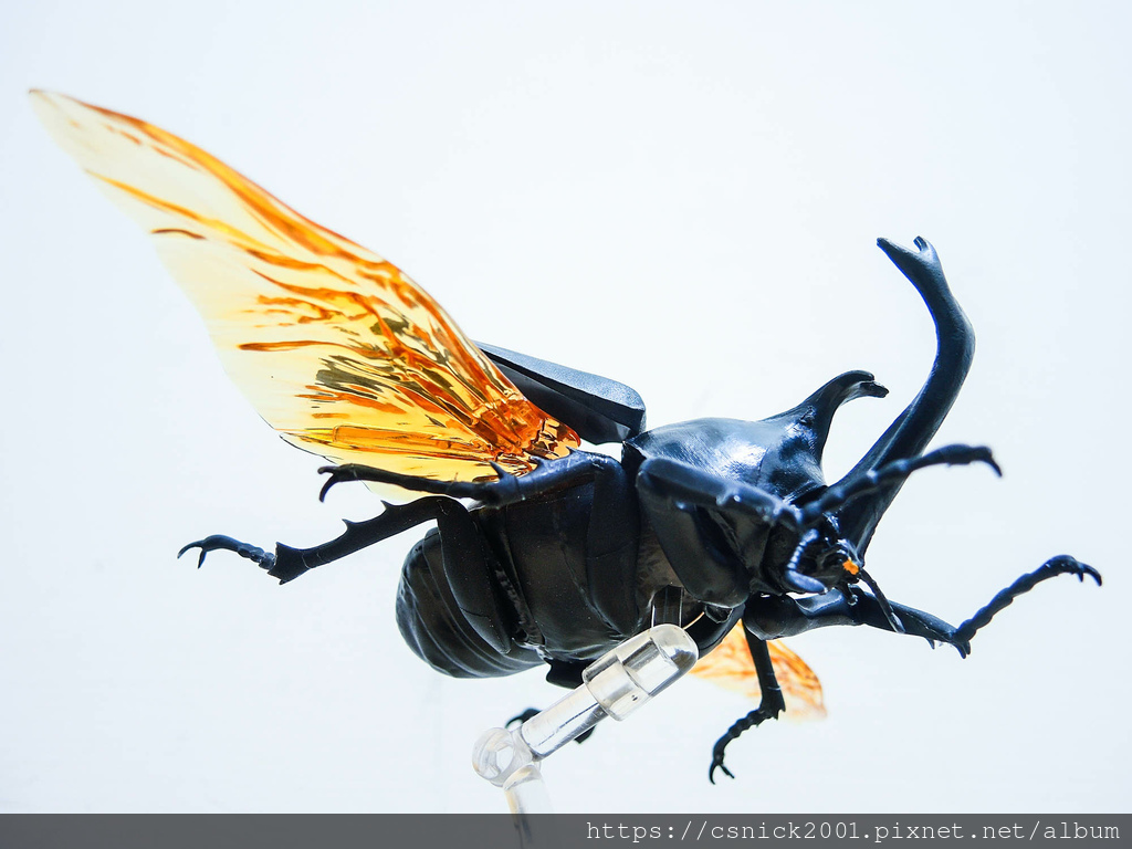 DSCN8016.jpg DSCN8016.jpg