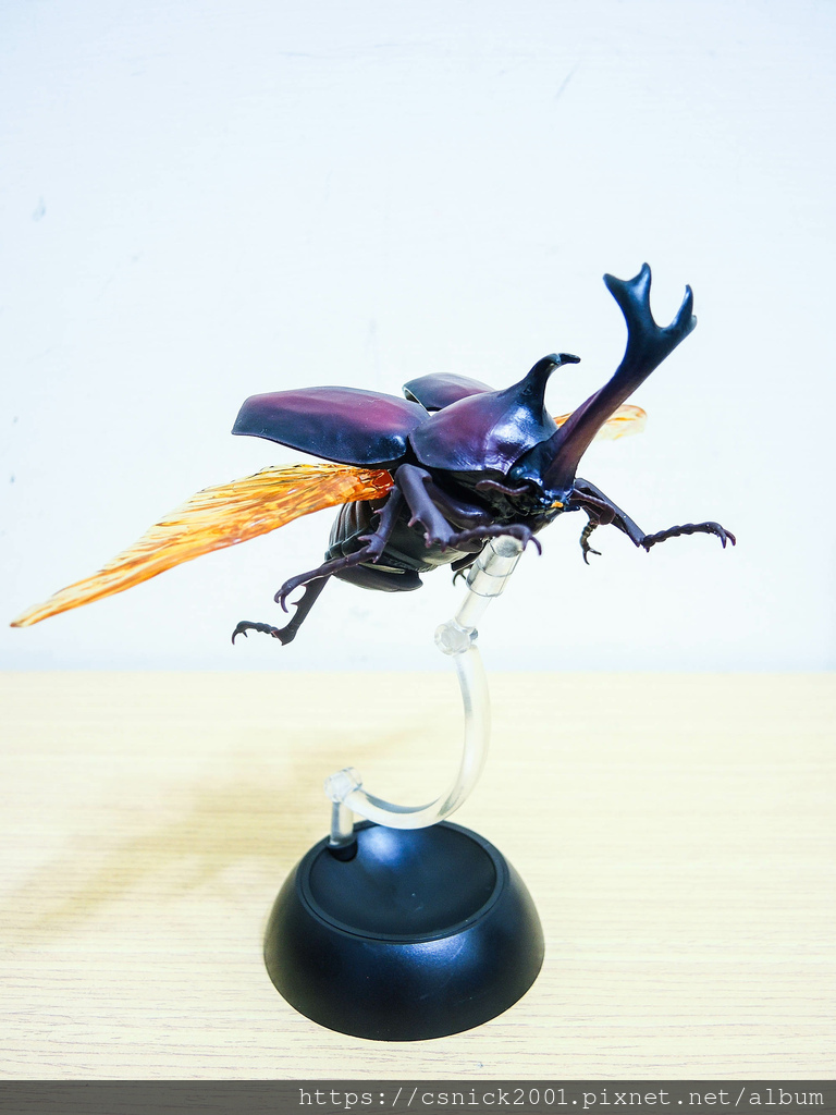 DSCN8021.jpg DSCN8021.jpg