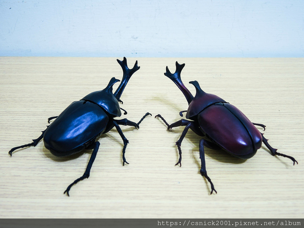 DSCN8025.jpg DSCN8025.jpg